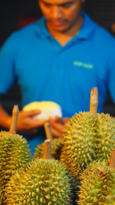 Durian on aasialaisten mämmi.